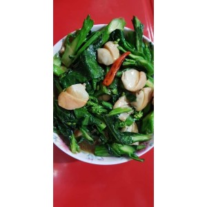 abalone