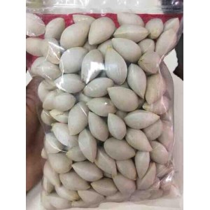 Ginkgo bark 1kg