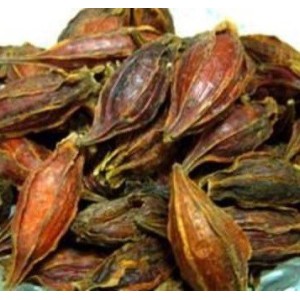 Chrysanthemum seeds 200g
