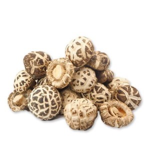 Japanese striped large mushroom