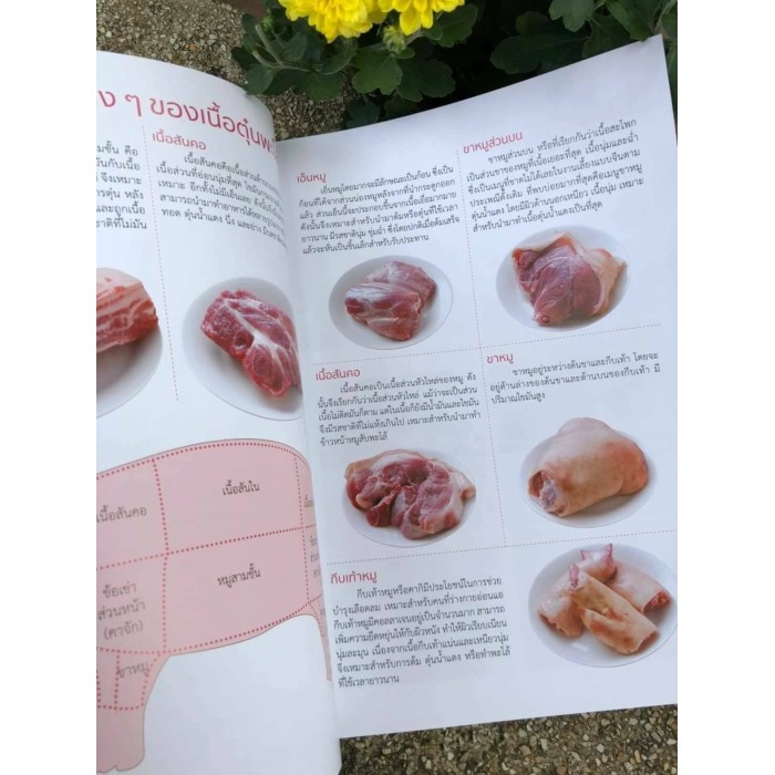 Book of 193 menus: stewed beef recipe