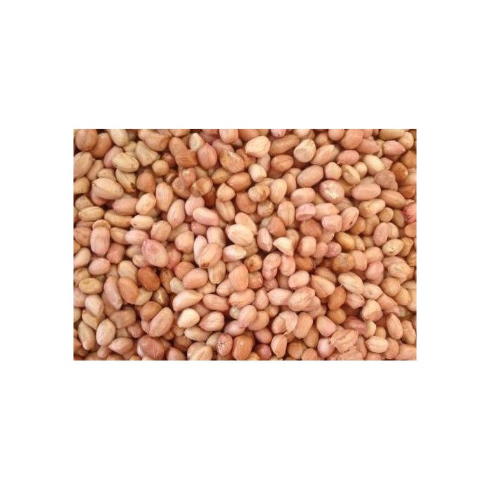 Specially selected raw Chinese peanuts