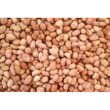 Specially selected raw Chinese peanuts