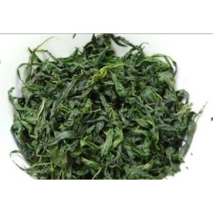 Fresh hemp leaves 1/2Kg