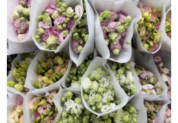Nice place to do in Bangkok 24hour open … Pak Khlong Talat (Flower market)